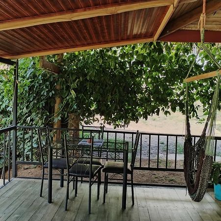 Osa House - Drake Corcovado Tours Bed & Breakfast Drakes Bay Dış mekan fotoğraf