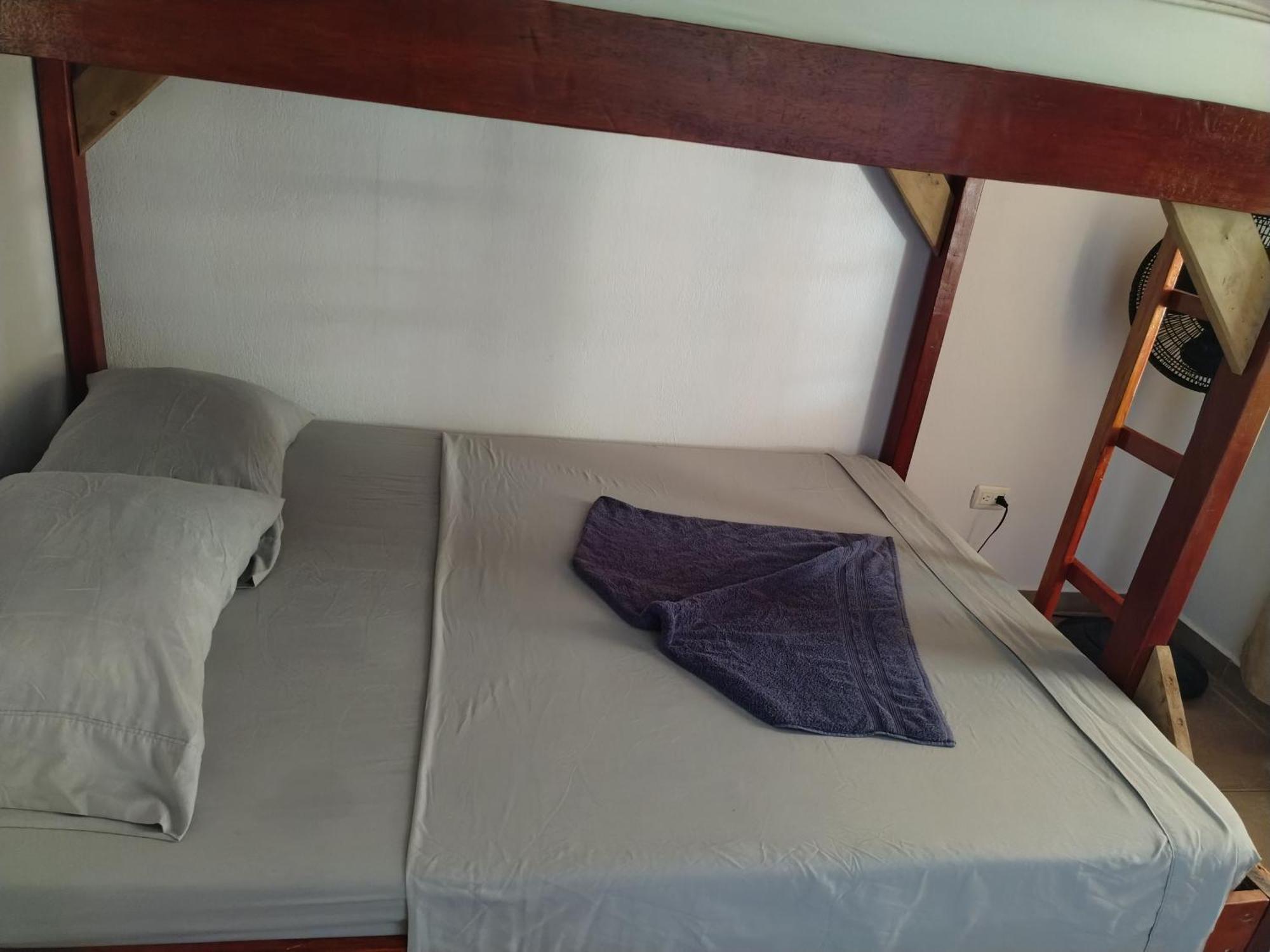 Osa House - Drake Corcovado Tours Bed & Breakfast Drakes Bay Dış mekan fotoğraf